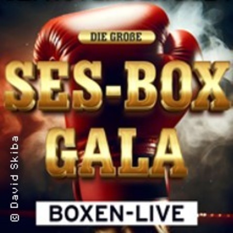 Die groe SES Box-Gala - Chemnitz - 02.11.2024 18:00