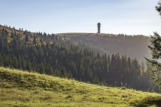 Ein Weide-Erlebnistag gibt es auf dem Feldberg mit dem Ziel Menzenschwander Htte