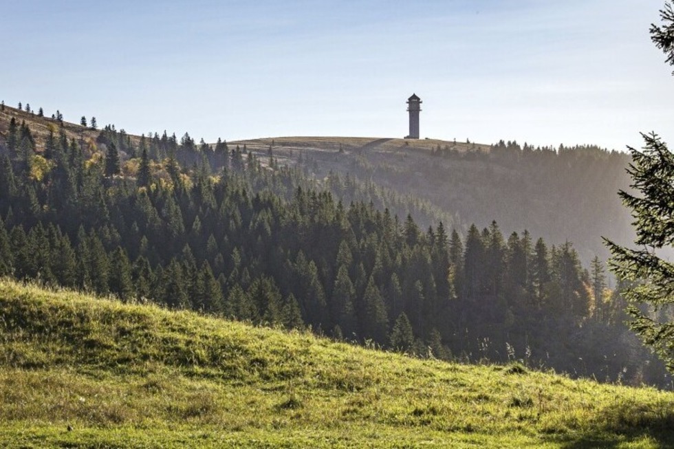 Ein Weide-Erlebnistag gibt es auf dem Feldberg mit dem Ziel Menzenschwander Htte - Badische Zeitung TICKET