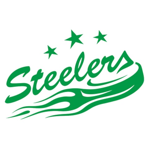 EV Lindau Islanders - Bietigheim Steelers - Lindau - 22.09.2024 16:00