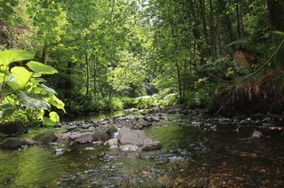 Genieerpfad Rtenbachschlucht