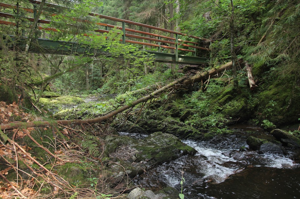 Genieerpfad Rtenbachschlucht - Friedenweiler