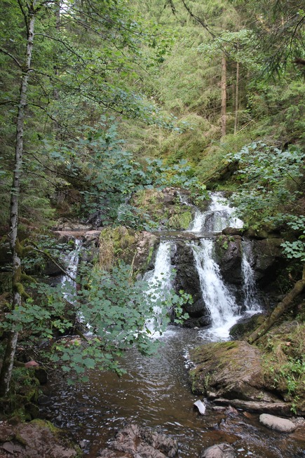 Genieerpfad Rtenbachschlucht - Friedenweiler