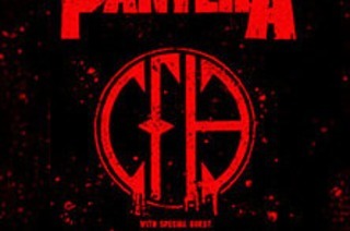 Pantera Gold VIP Package - PANTERA