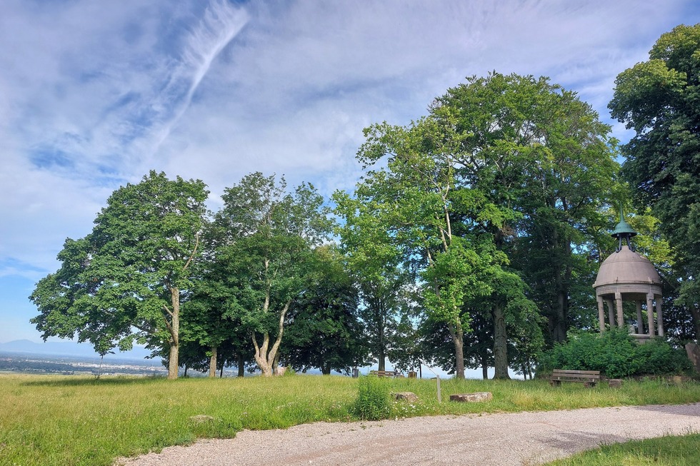 Schutterlindenberg-Panoramaweg - Lahr