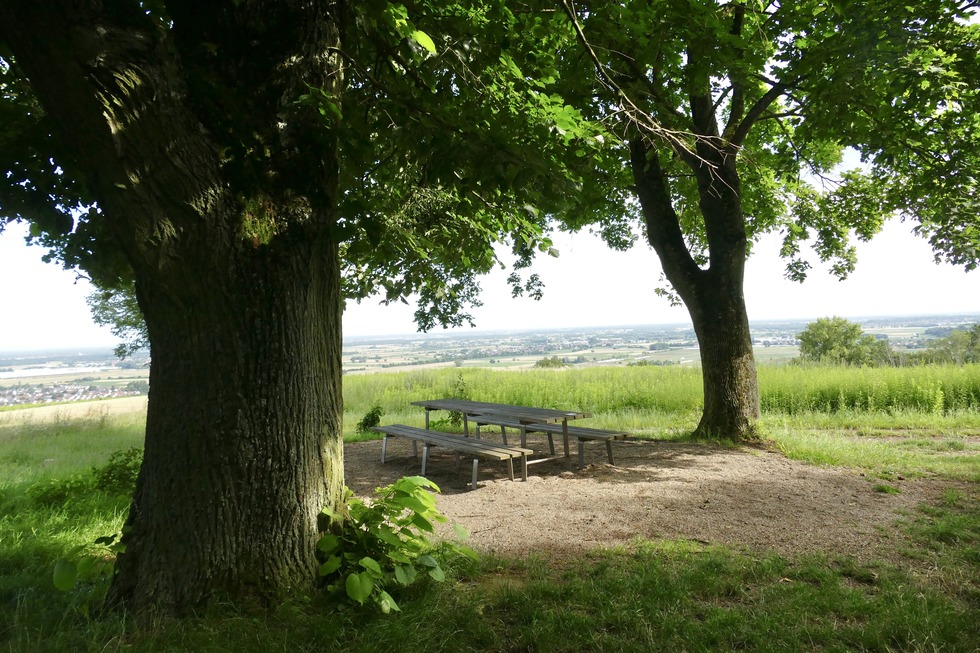 Schutterlindenberg-Panoramaweg - Lahr