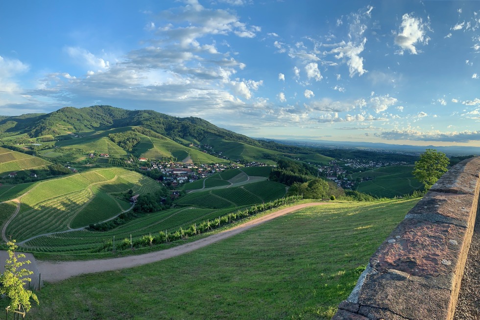 Durbacher Weinpanorama - Durbach