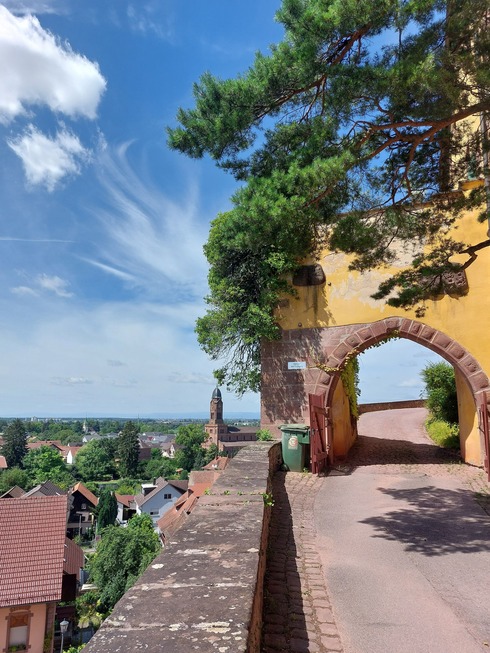 Sagenrundweg Schlossberg - Mahlberg