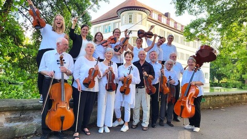 Konzert des Kammerorchesters Bad Rappenau 2024 - Bad Rappenau - 26.10.2024 19:30