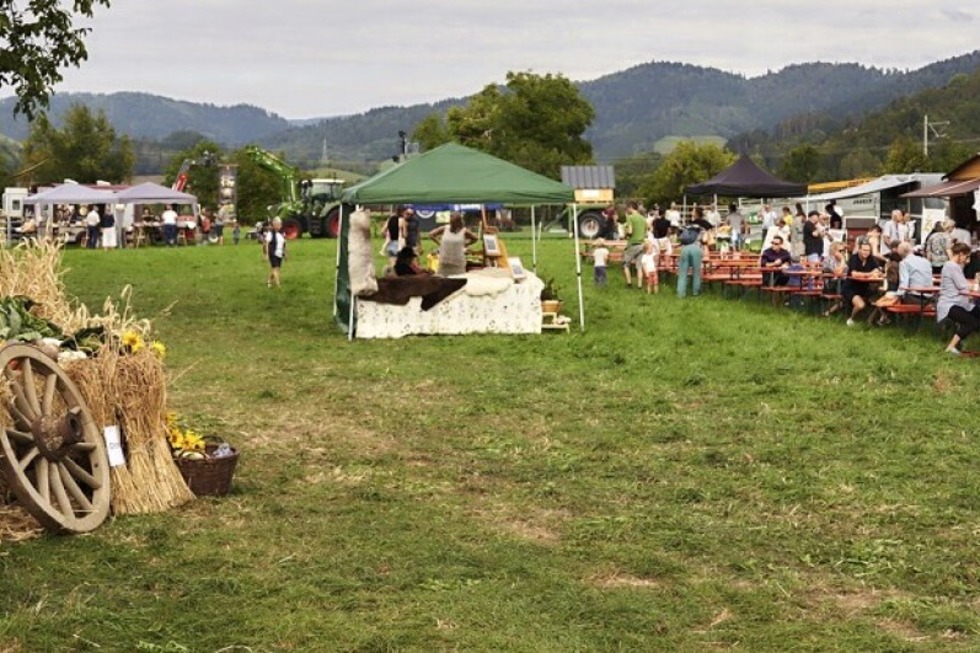 Programm fr Gro und Klein rund um die Landwirtschaft im Dreisamtal beim Hfe-Festival in der Rainhofscheune - Badische Zeitung TICKET