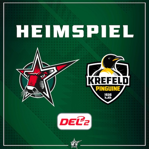 Starbulls Rosenheim - Krefeld Pinguine - Rosenheim - 06.12.2024 19:30