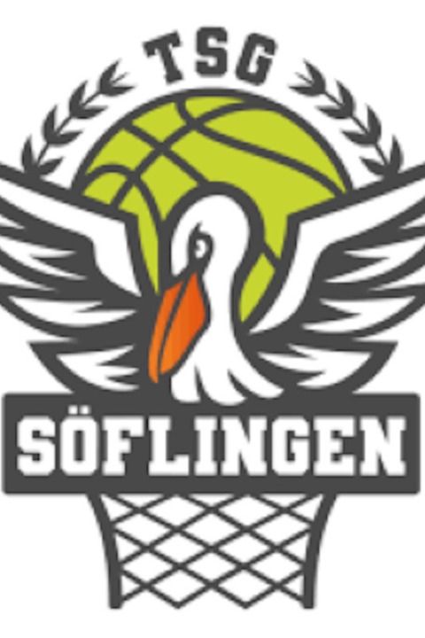 Black Forest Panthers - vamos! TSG Sflingen - Villingen-Schwenningen - 23.03.2025 17:00