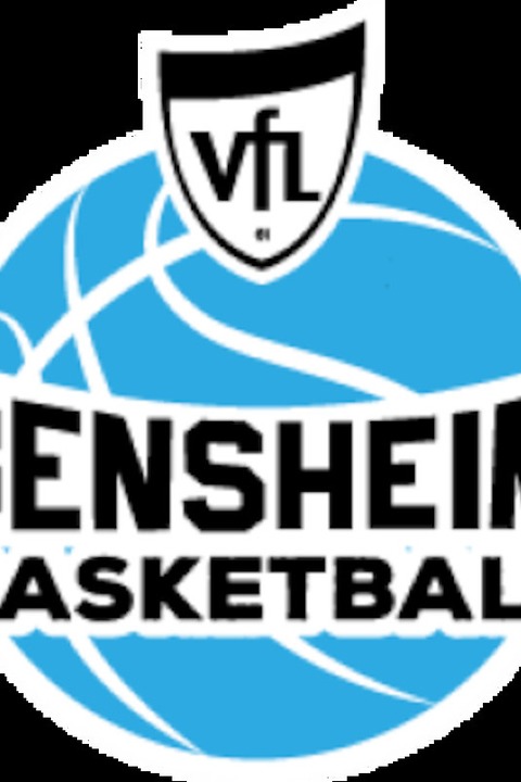 Black Forest Panthers - VFL Bensheim - Villingen-Schwenningen - 22.12.2024 17:00