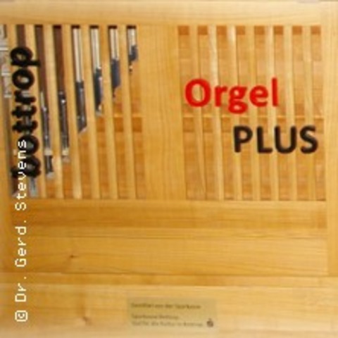 Orgel PLUS Seniorenkonzert - BOTTROP - 08.01.2025 15:00