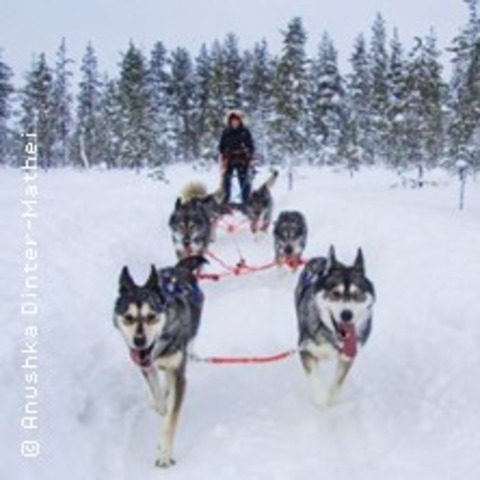 Abenteuer Arktis - Anushka Dinter-Mathei - WILDAU - 22.03.2025 19:00