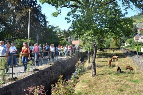 Exklusive Weinwanderung mit Speis und Trank - Exklusive kulinarische Weinfhrung mit moderierter 6er- Weinprobe fr 5h - Radebeul - 05.10.2025 11:30