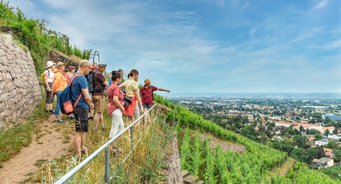 Kruterwein und Weinelexiere - Wein und noch viel mehr - Radebeul - 25.10.2025 13:00