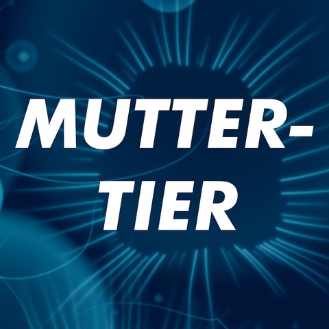 MUTTERTIER - Premiere; Einfhrung 19.30 Uhr - Tbingen - 01.02.2025 20:00