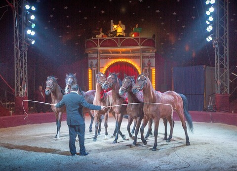 Ulmer Weihnachtscircus - Vorpremiere zugunsten der Aktion 100 000 - Ulm - 19.12.2024 14:00