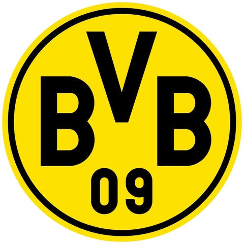 VfL Oldenburg - Borussia Dortmund - Oldenburg - 05.01.2025 16:30