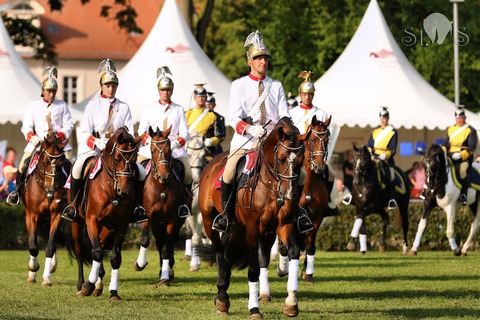 Neustdter Hengstparade 2025 - 2. Hengstparade - Neustadt (Dosse) - 20.09.2025 13:00