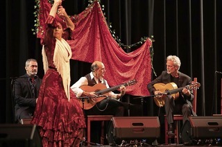 El Jaleo kommt mit seiner Fiesta Flamenco ins Brgerhaus am Seepark