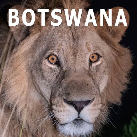 BOTSWANA - Tierparadies - artenreich, faszinierend - Live Reportage - Lrrach - 10.11.2024 18:00