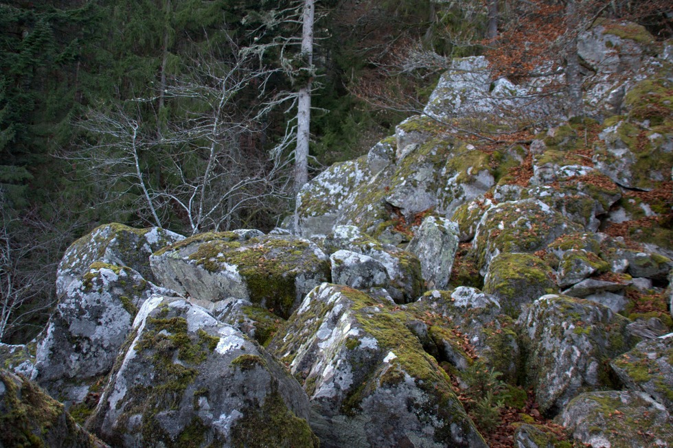 Sagenpfad - Hchenschwand