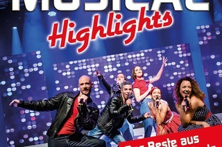 Musical Highlights Vol. 16 - Das Beste aus Musical und Film