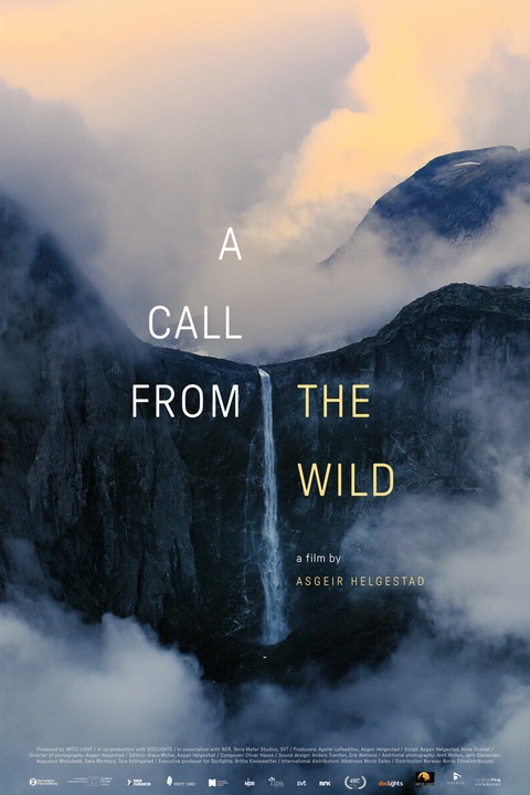 A call from the wild beim Greenmotions Filmfestival - Freiburg - 09.11.2024 13:00