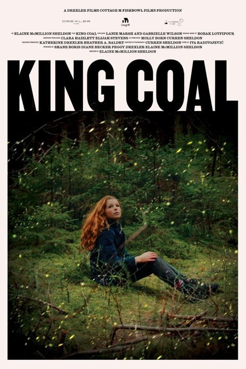 King Coal beim Greenmotions Filmfestival - Freiburg - 10.11.2024 19:30