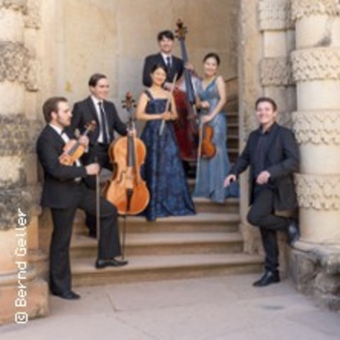 Vivaldi - Die vier Jahreszeiten - DRESDEN - 20.06.2025 19:30