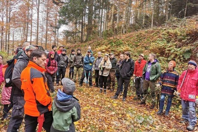 Mit der Astschere am Kandel frs Auerhuhn unterwegs