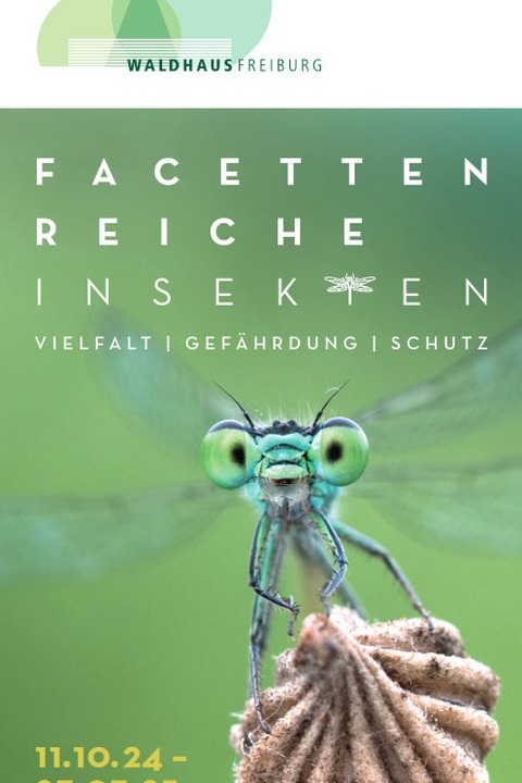 Facettenreiche Insekten - Freiburg - 21.11.2024 16:00