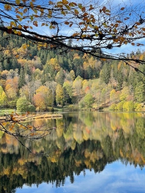 Nonnenmattweiher (Neuenweg) - Kleines Wiesental