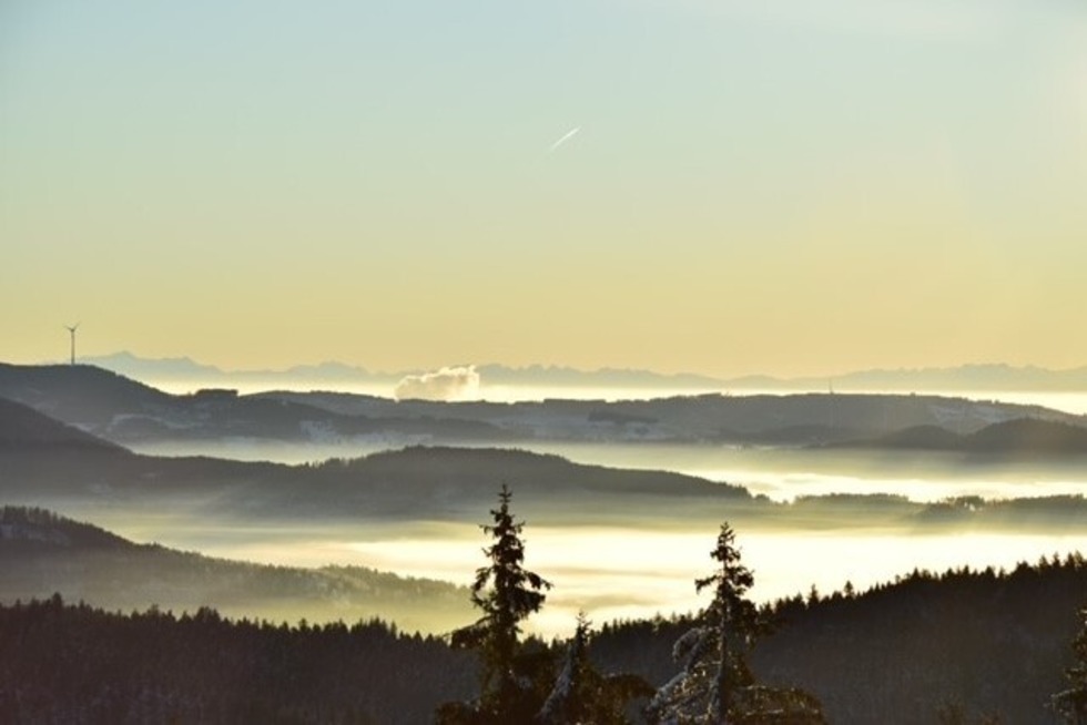 Blauen/Hochblauen - Schliengen