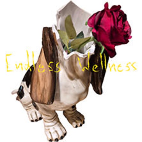 Endless Wellness - Was fr eine Tour 2025 - HANNOVER - 21.03.2025 20:00