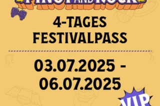 Vier-Tage-Festivalpass VIP - EARLY BIRD TICKETS