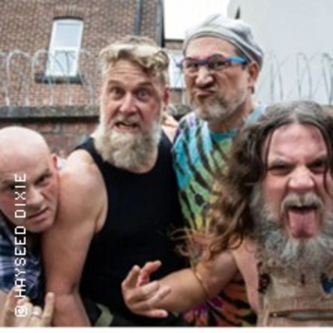 Hayseed Dixie - Dsseldorf - 08.05.2025 20:00