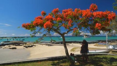 Mauritius - Die Fernwehmacher unterwegs im Tropenparadies - Mllheim - 05.11.2024 17:30