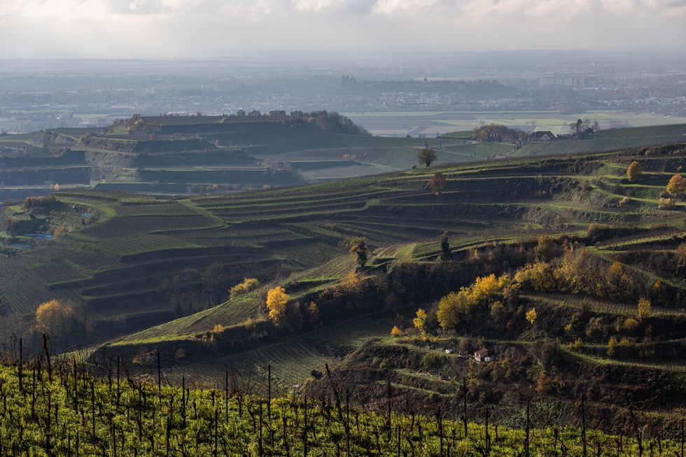 We Escape Kaiserstuhl - Ihringen