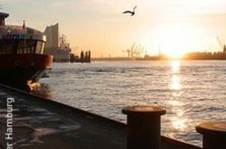 Sonntagmorgen Spezial zum Fischmarkt!