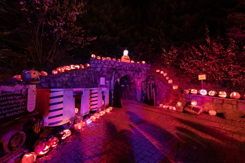 Halloween im Bergwerk Teufelsgrund - Mnstertal - 30.10.2025 13:00