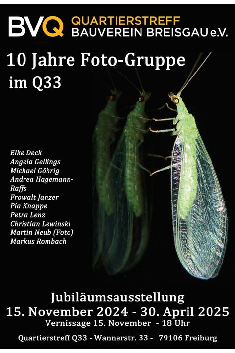 10 Jahre Fotogruppe im Qu 33 - Freiburg - 15.11.2024 18:00