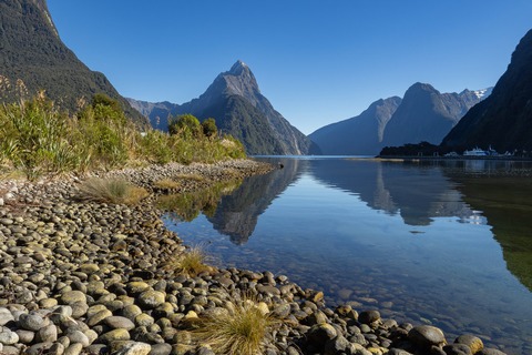 Neuseeland - Mnchenstein - 28.03.2025 19:30