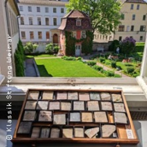 Goethes Blick auf die Geschichte und die Anfnge der Welt - CHEMNITZ - 10.04.2025 19:00