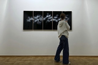 Constanze Albecker-Gnser bietet eine Fhrung in der Ausstellung "O(H) WALD" in der Stdtischen Galerie Offenburg an