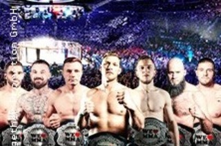 We love MMA - Mixed Martial Arts