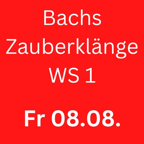 Tne auf der Flte. - Ansbach - 08.08.2025 09:30