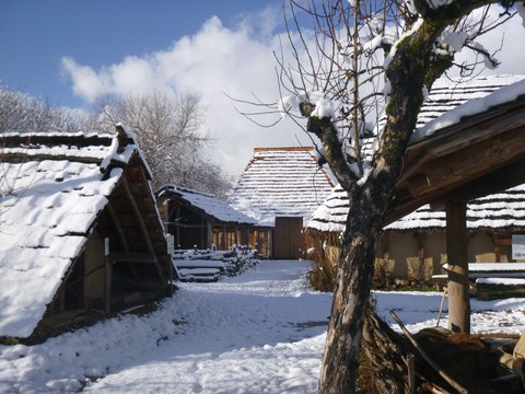 WInter-Hofbelebung im Alamannen-Museum Vrstetten - Vrstetten - 07.12.2024 11:00